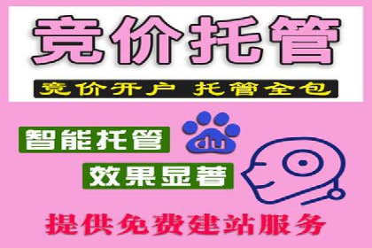 深度解析：百度竞价排名的成功案例及启示